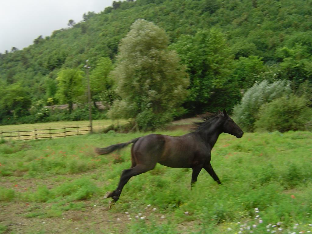 L' Antico Casale Villa Le Marmore Buitenkant foto